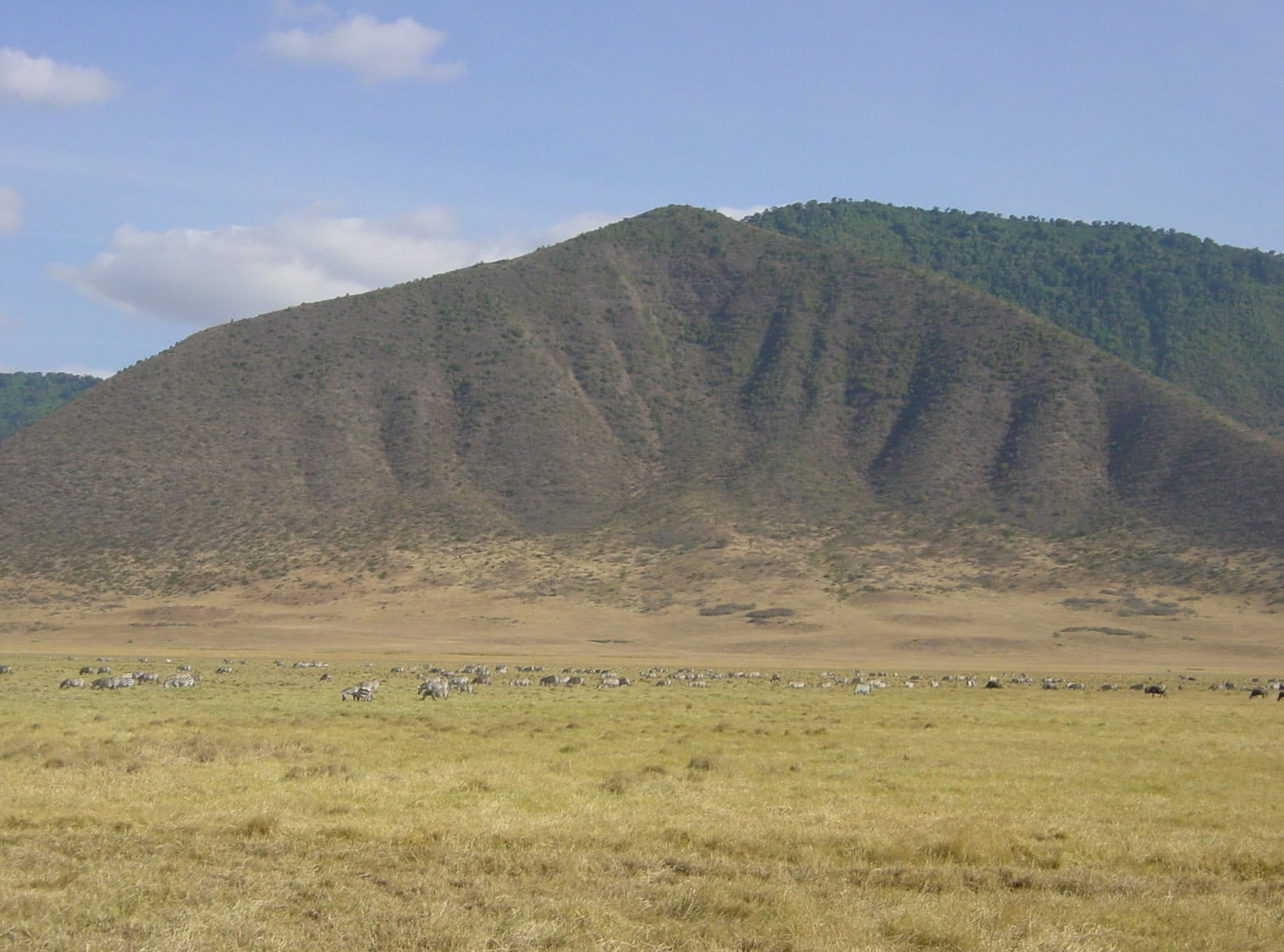 Ngorongoro-Krater Bild: Ngorongoro-Krater