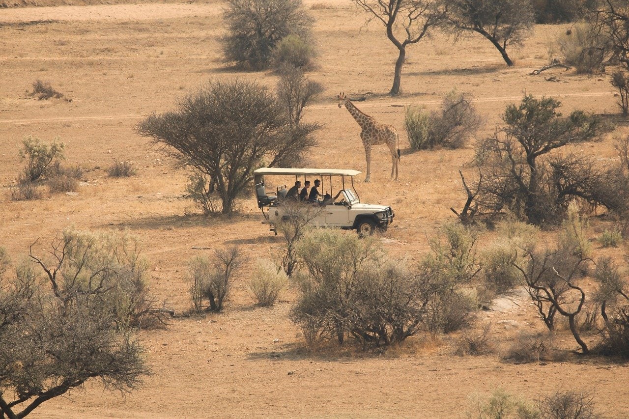 Tansania Safari